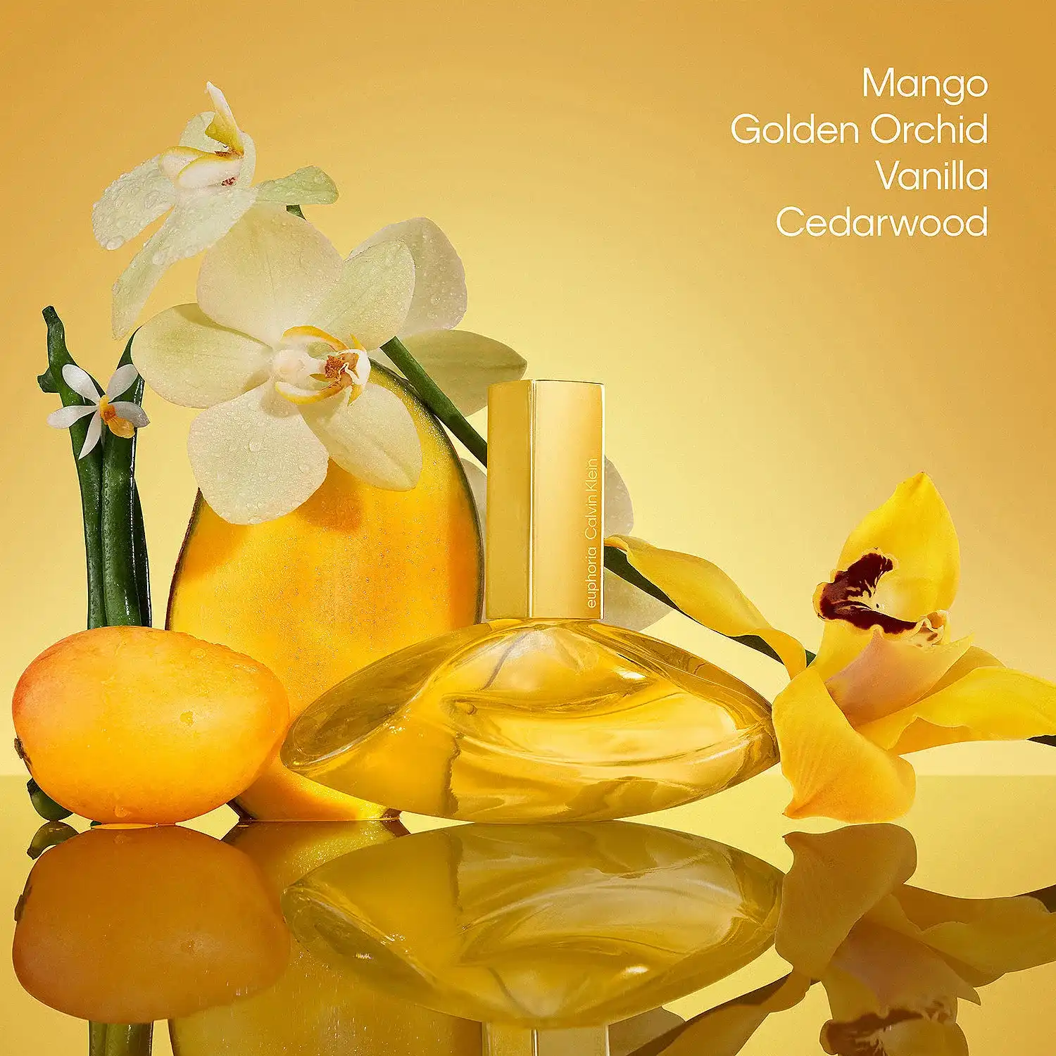 Hình 7 - Calvin Klein Euphoria Solar Elixir (2026) Parfum 100ml