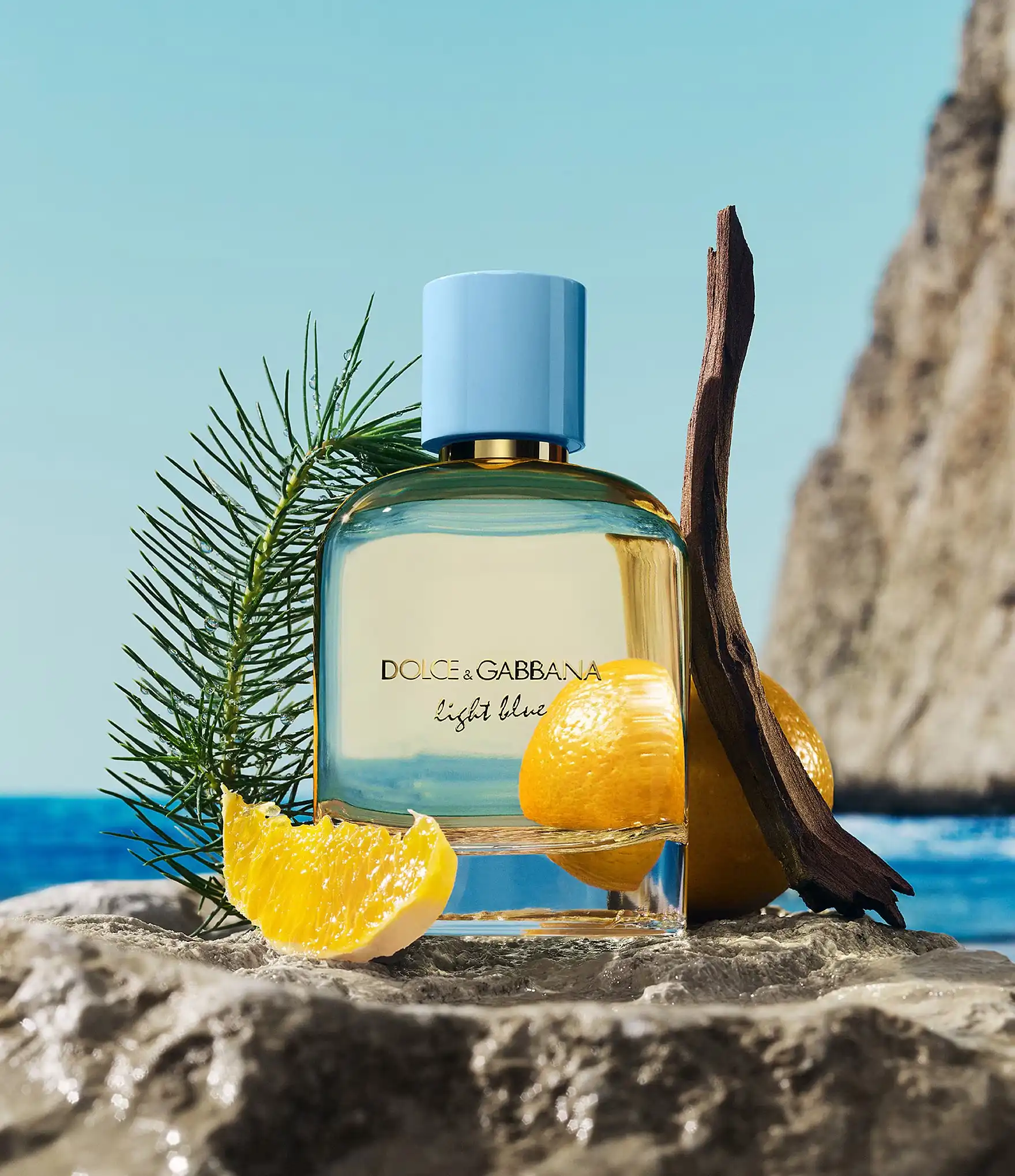 Hình 2 - Dolce & Gabbana Light Blue Pour Homme (2026) EDP 100ml