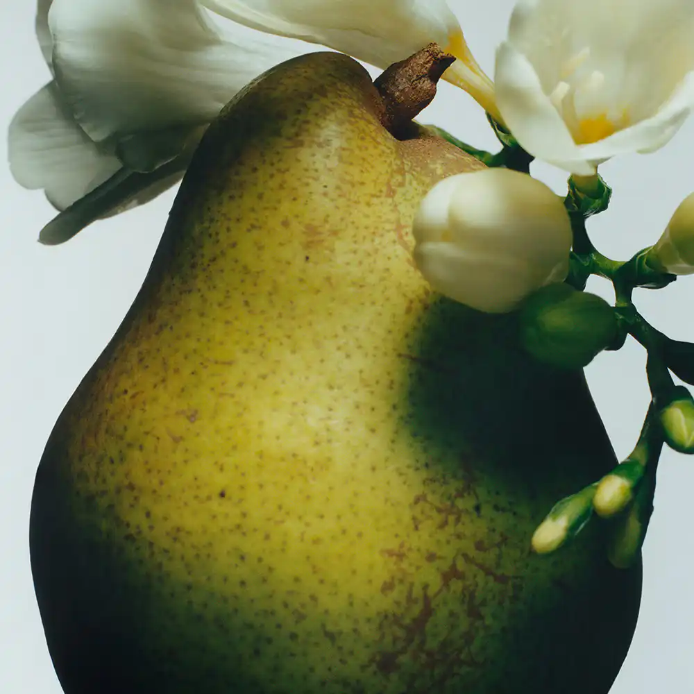 Hình 2 - Jo Malone English Pear & Freesia EDC 100ml