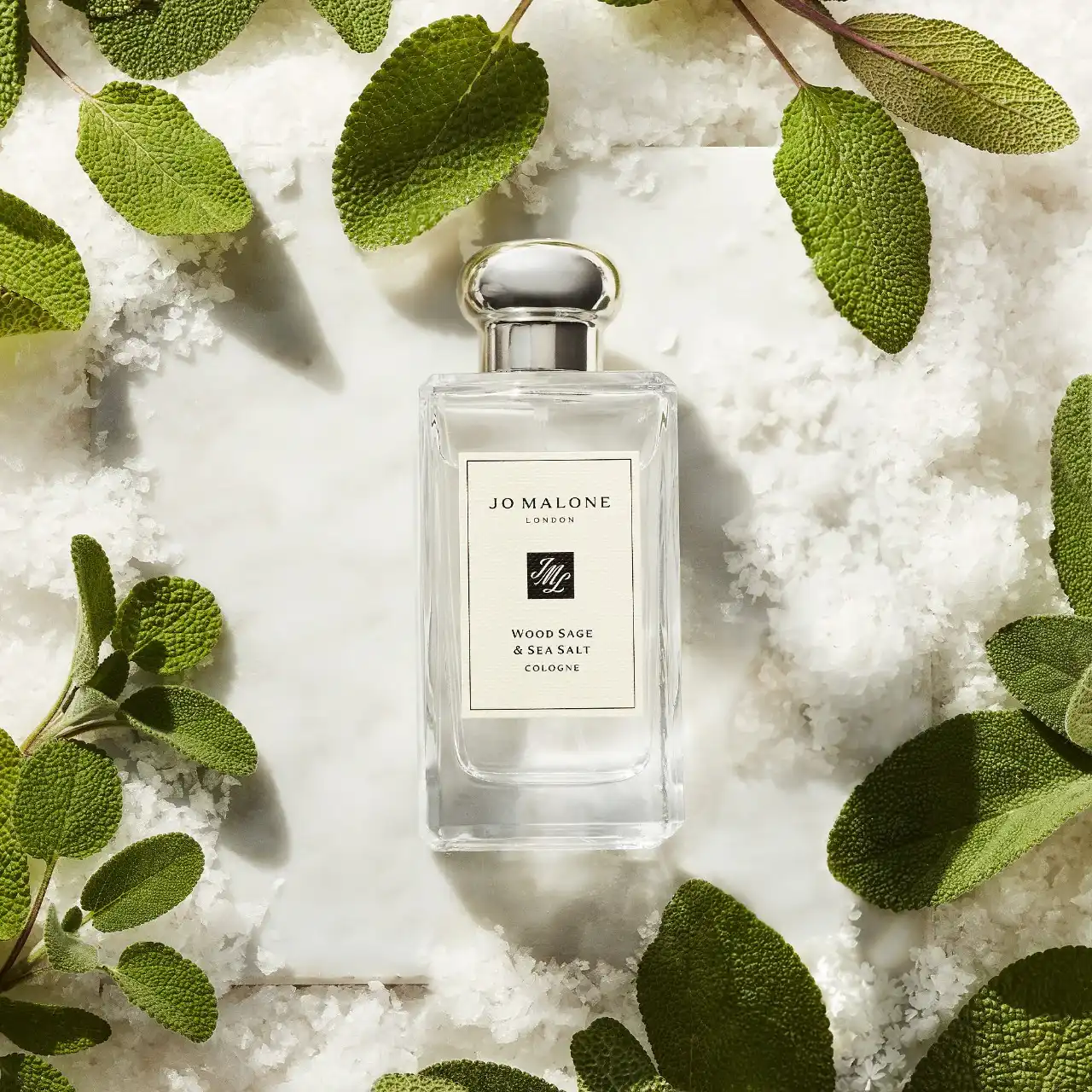 Hình 2 - Jo Malone London Wood Sage & Sea Salt EDC 100ml