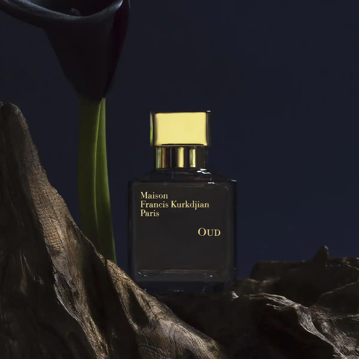 Hình 2 - Maison Francis Kurkdjian Oud EDP 70ml