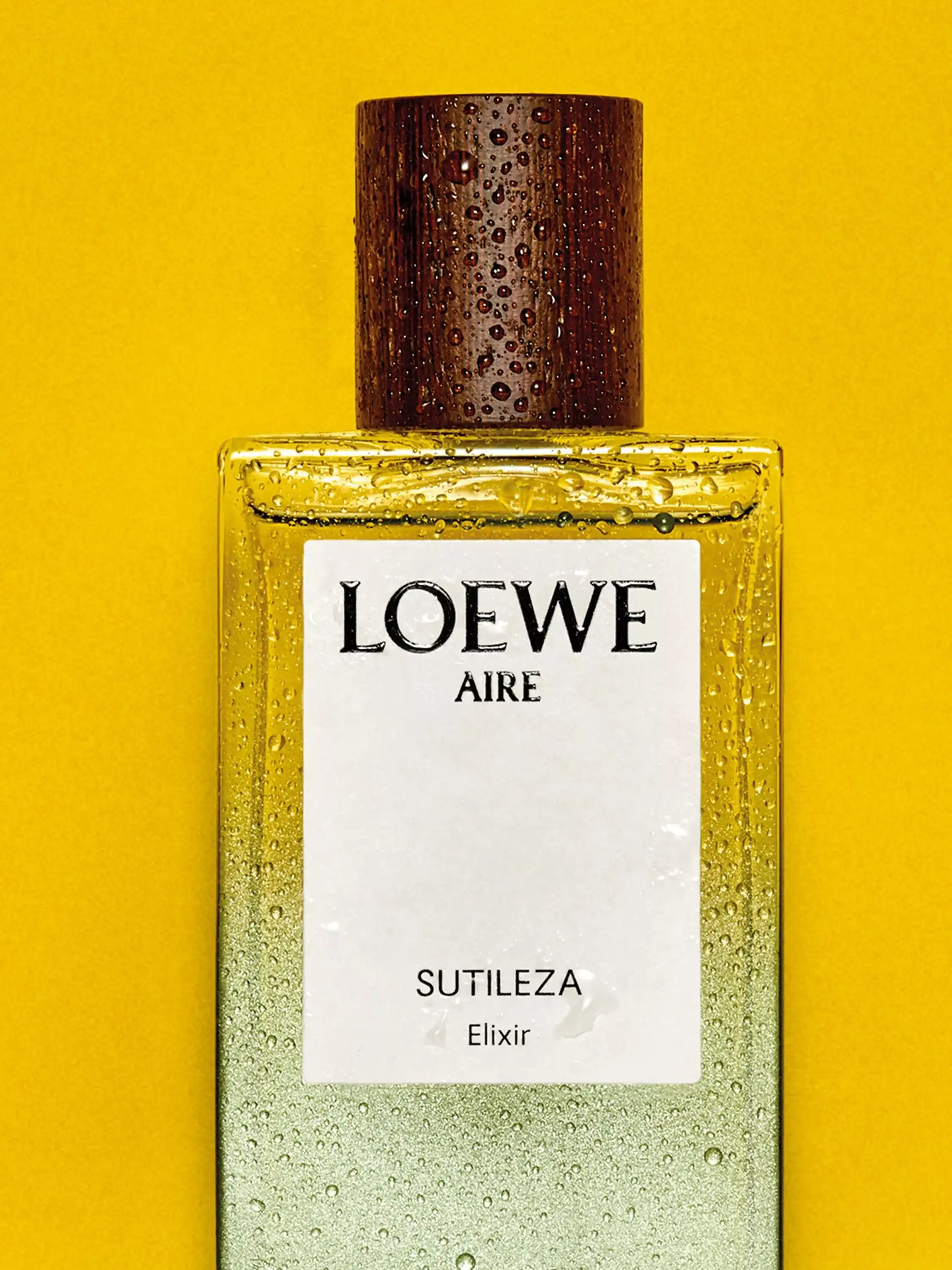Hình 5 - Loewe Aire Sutileza Elixir (2026) Parfum 100ml