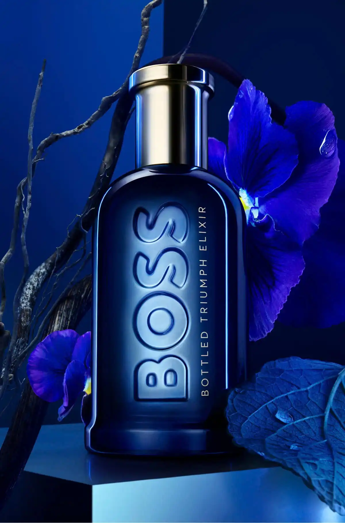 Hình 5 - Hugo Boss Bottled Triumph Elixir (2024) EDP 100ml
