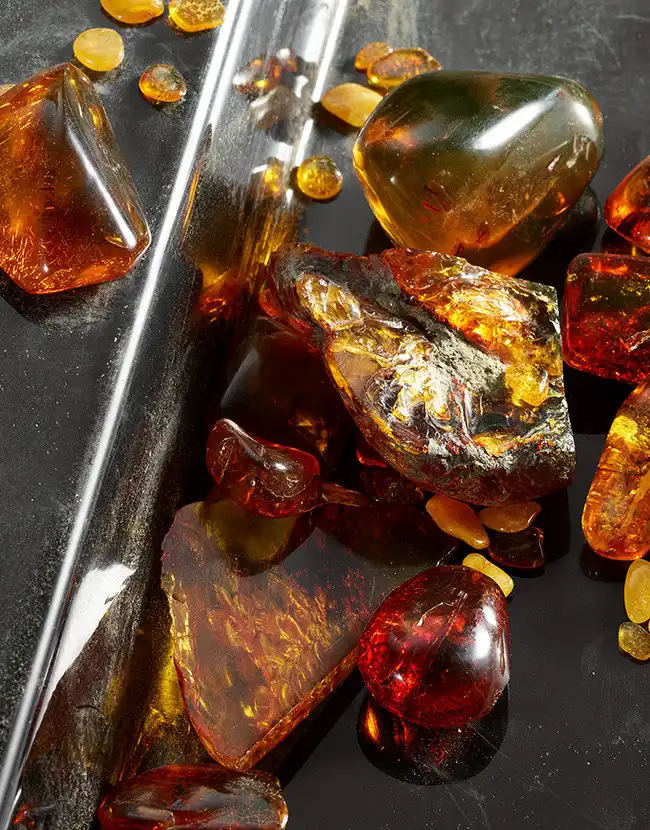 Hình 6 - Dolce & Gabbana Q (2024) EDP Intense 100ml