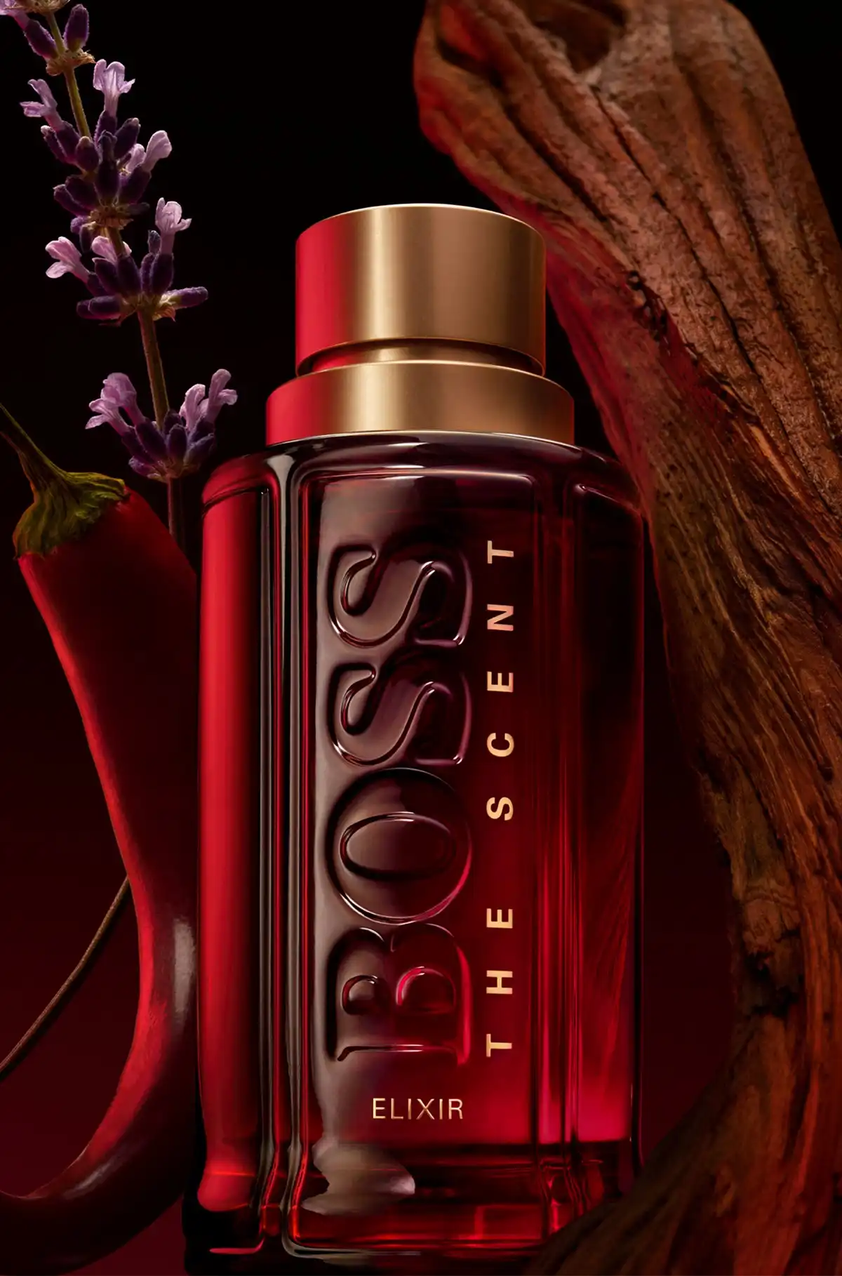 Hình 5 - Hugo Boss The Scent Elixir (2024) Parfum 100ml