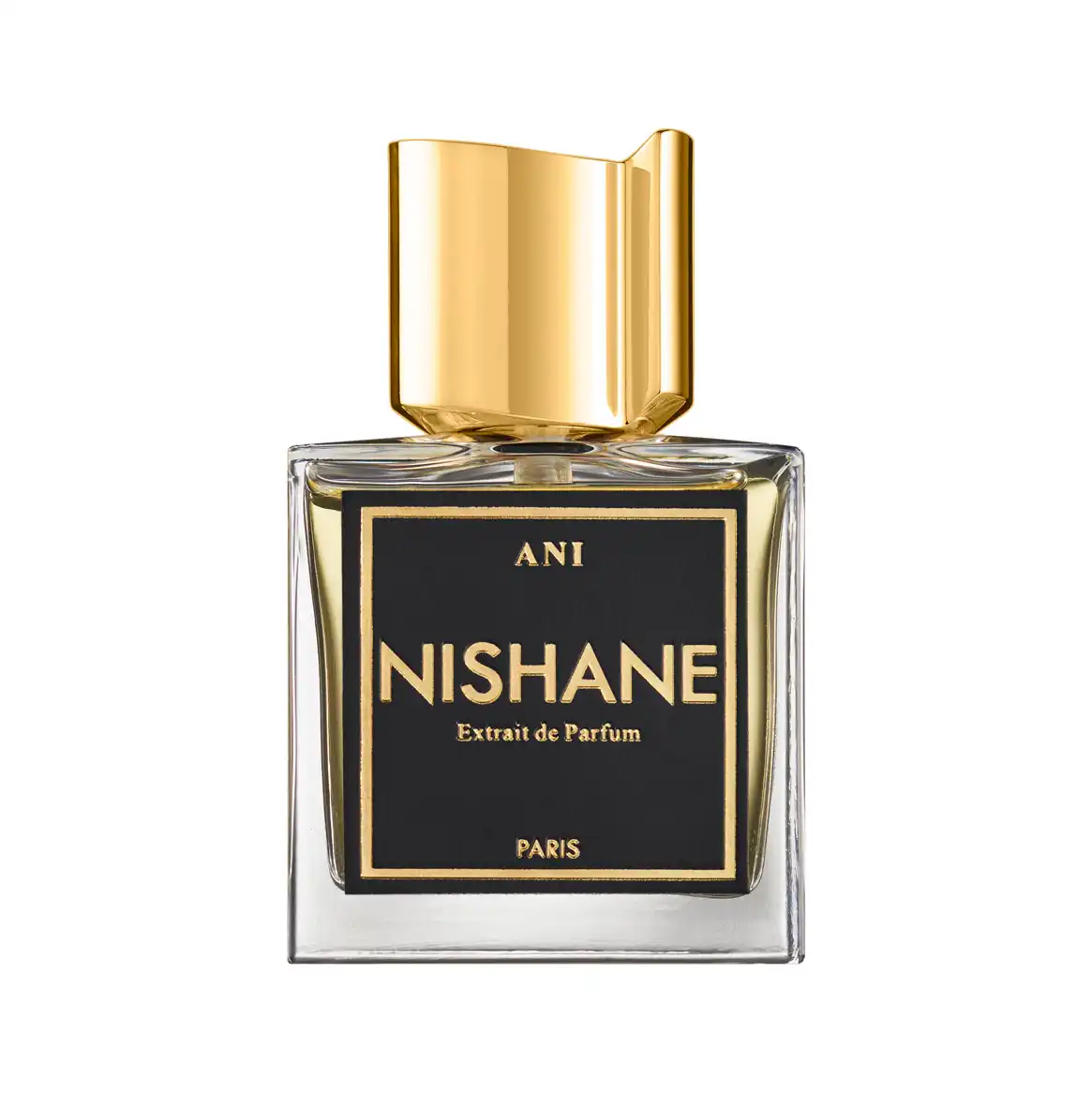 Hình 1 - Nishane Ani Extrait de Parfum 100ml