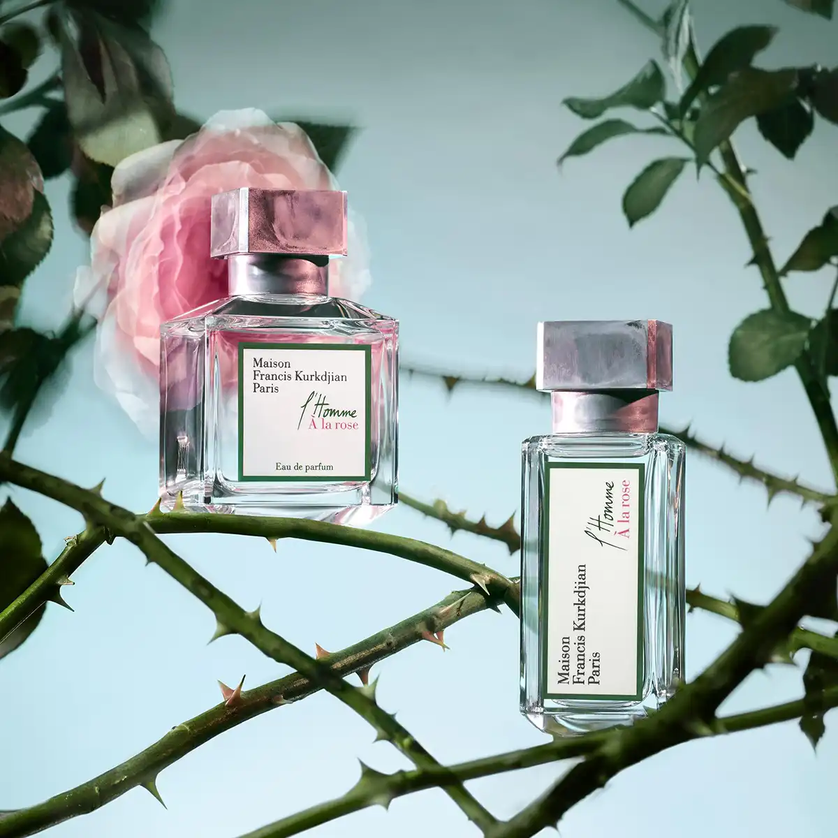 Hình 6 - Maison Francis Kurkdjian L’Homme À la Rose EDP 70ml