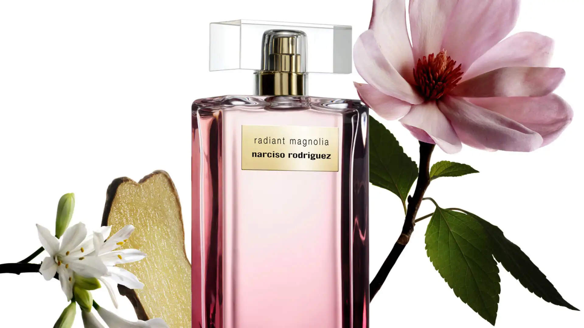 Hình 2 - Narciso Rodriguez Radiant Magnolia (2024) EDP Intense 100ml