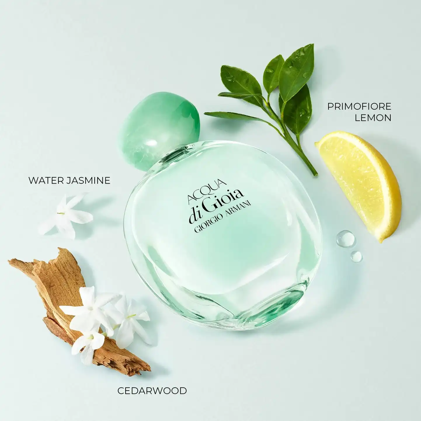 Hình 3 - Giorgio Armani Acqua Di Gioia EDP 100ml