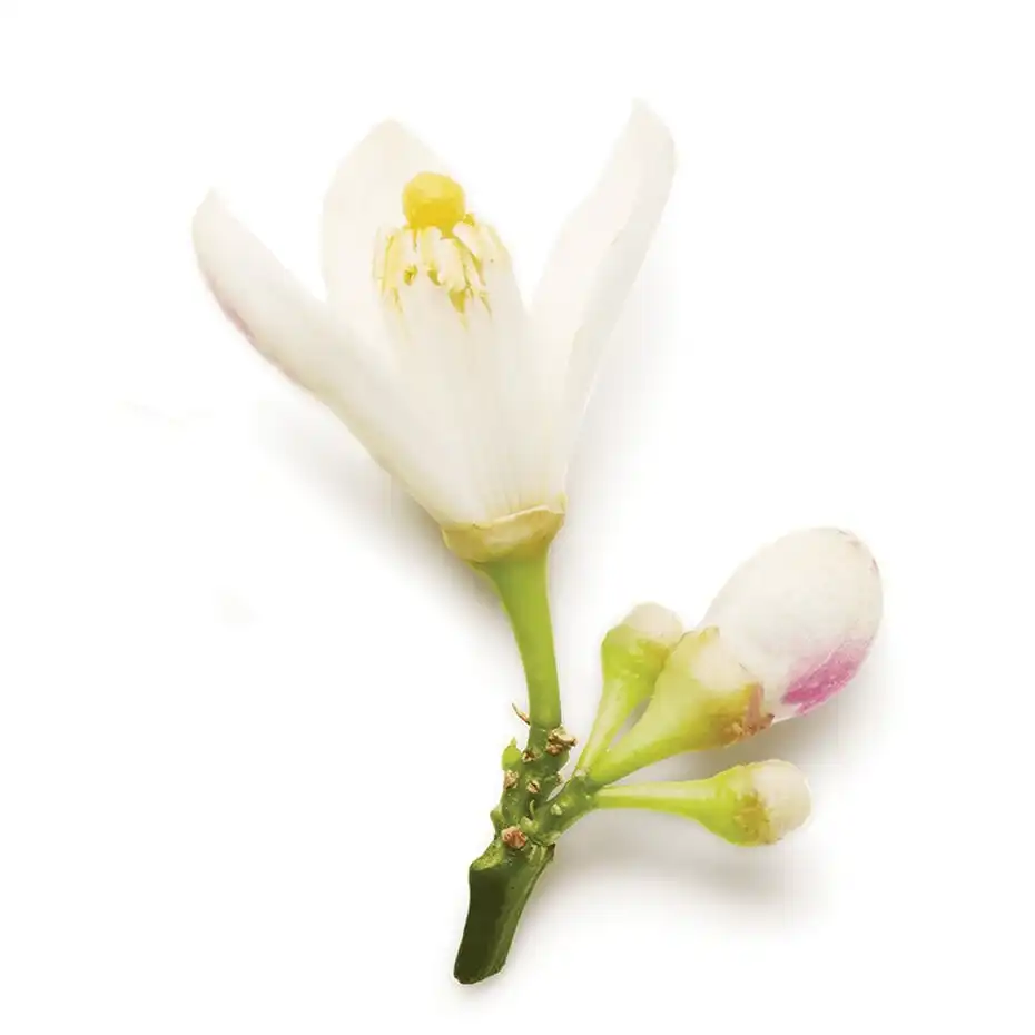 Hình 3 - Giorgio Armani Armani Code For Women EDP 75ml