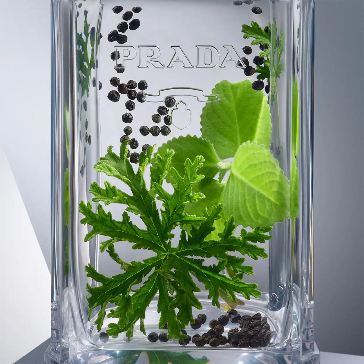 Hình 6 - Prada Milano L’Homme EDT 100ml