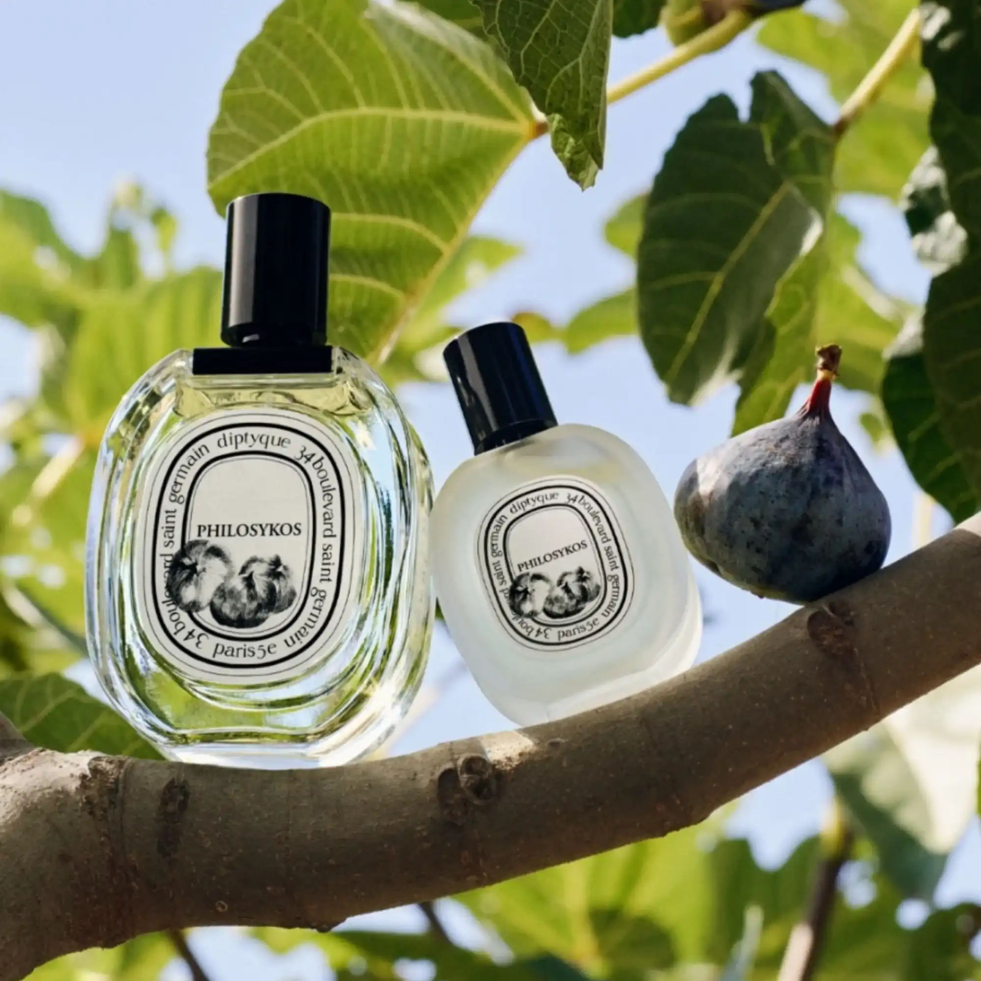 Hình 3 - Diptyque Paris Philosykos EDP 75ml