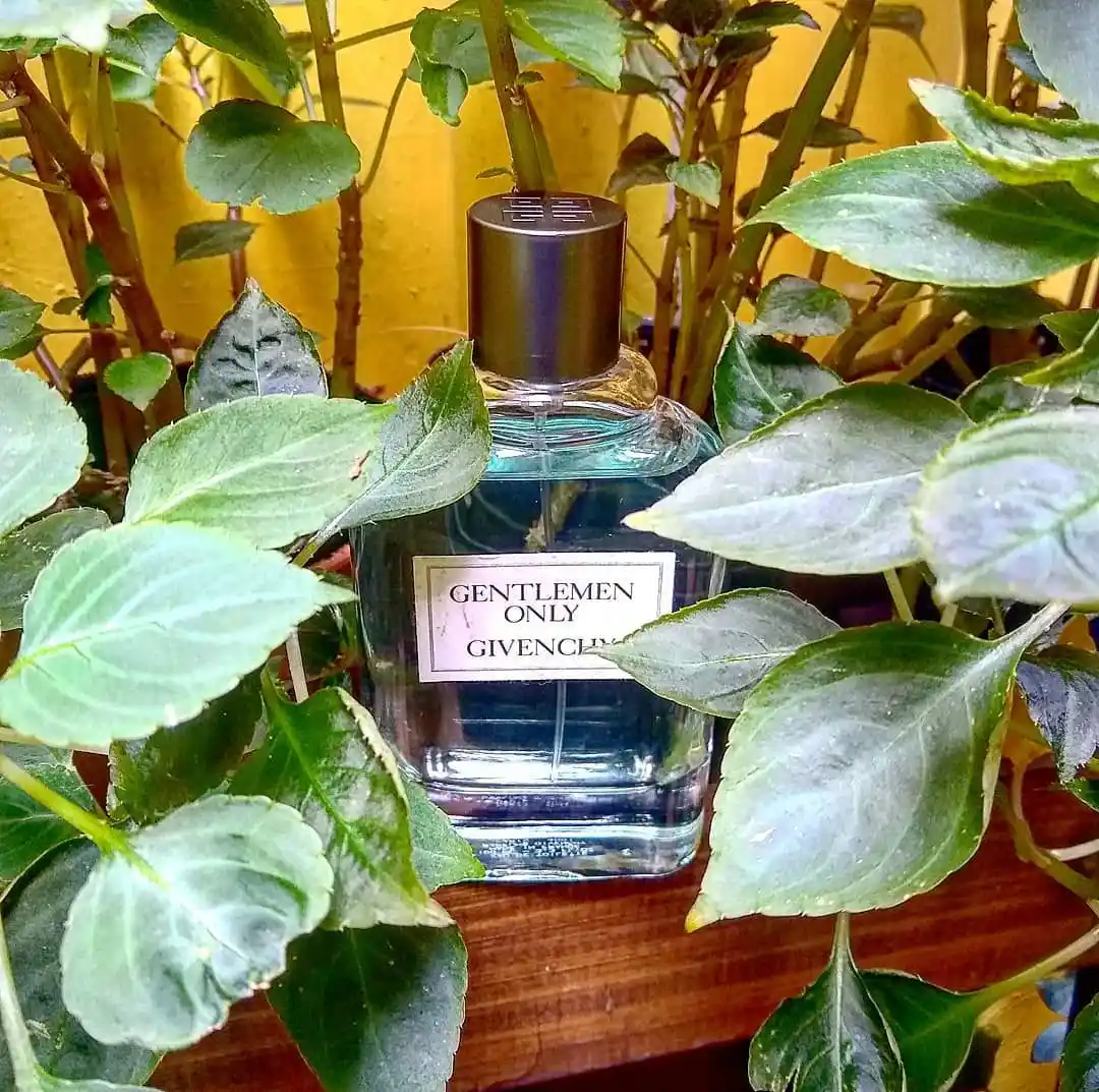 Hình 3 - Givenchy Gentlemen Only EDT 100ml