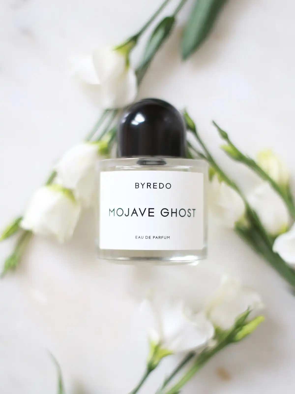 Hình 5 - Byredo Mojave Ghost EDP 100ml