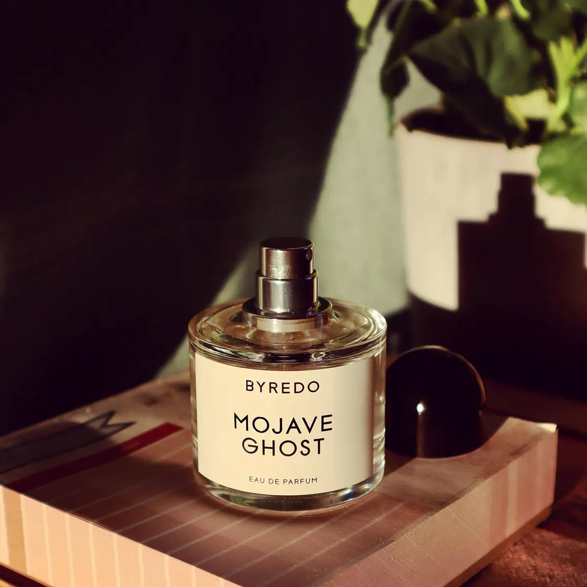 Hình 7 - Byredo Mojave Ghost EDP 100ml