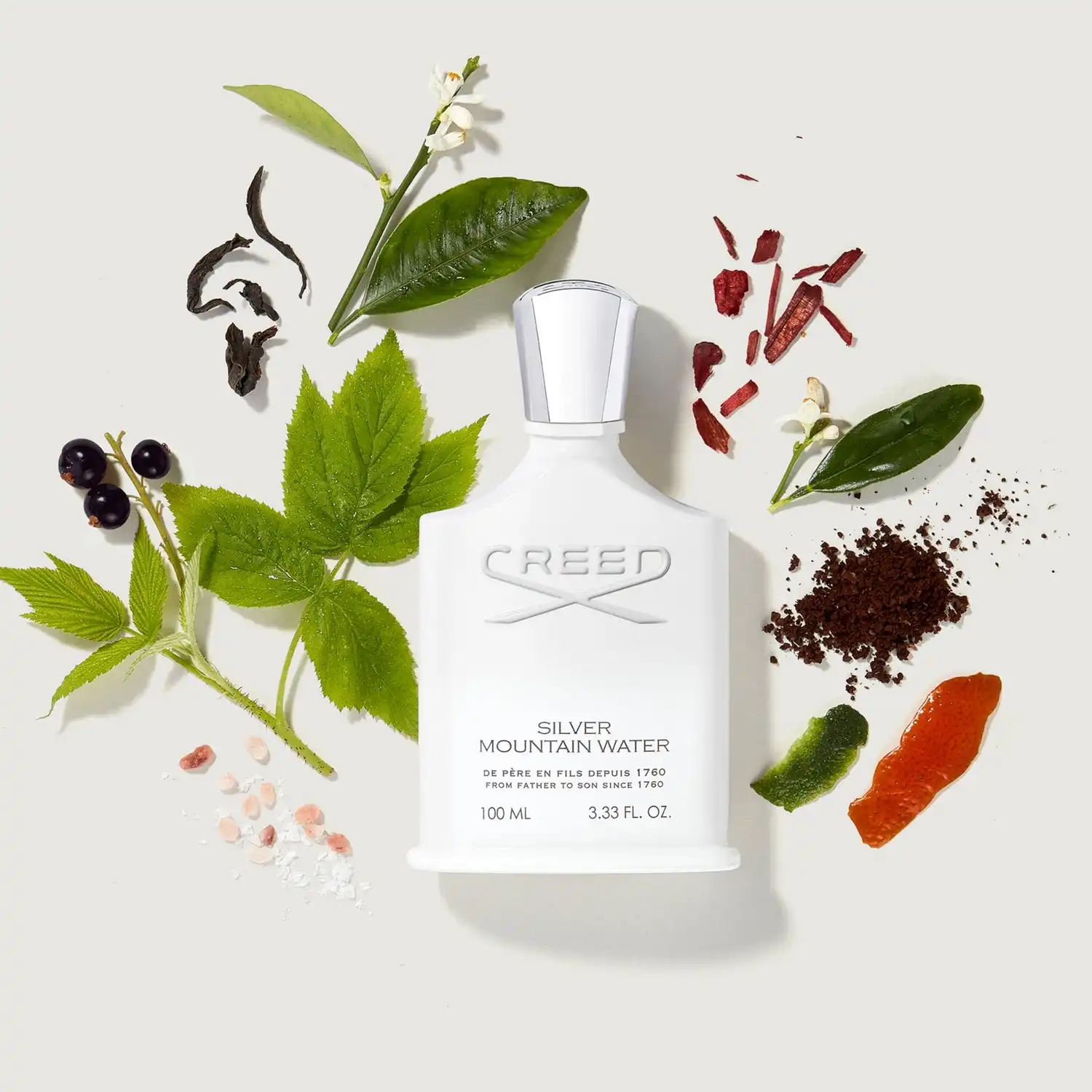 Hình 3 - Creed Silver Mountain Water EDP 100ml