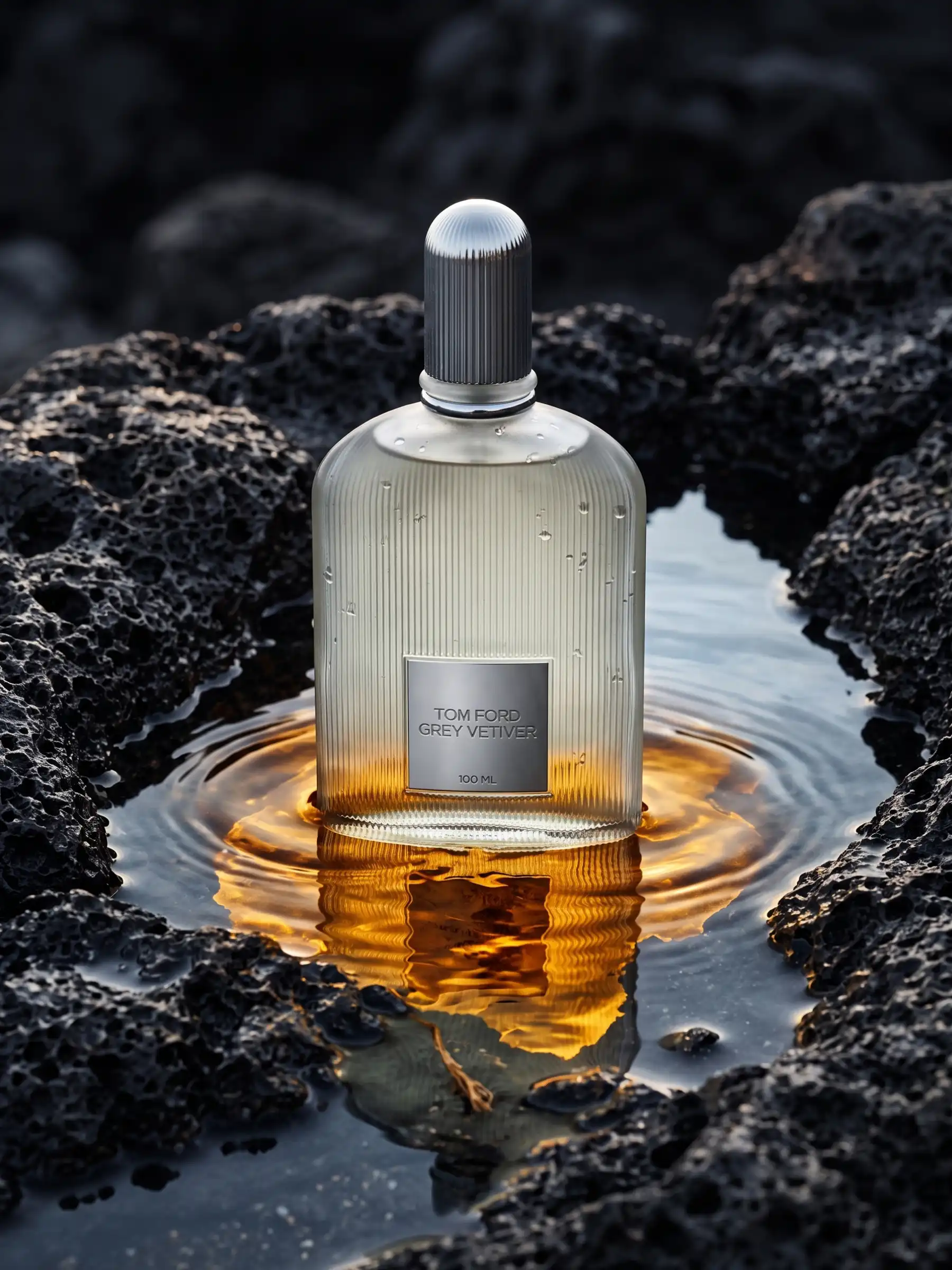 Hình 8 - Tom Ford Grey Vetiver EDP 100ml
