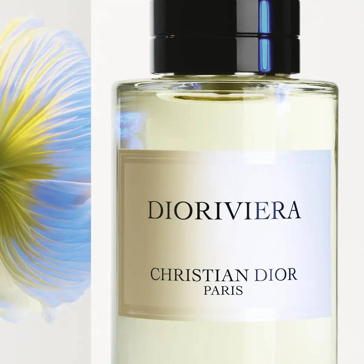 Hình 3 - Dior Dioriviera (2023) EDP 125ml