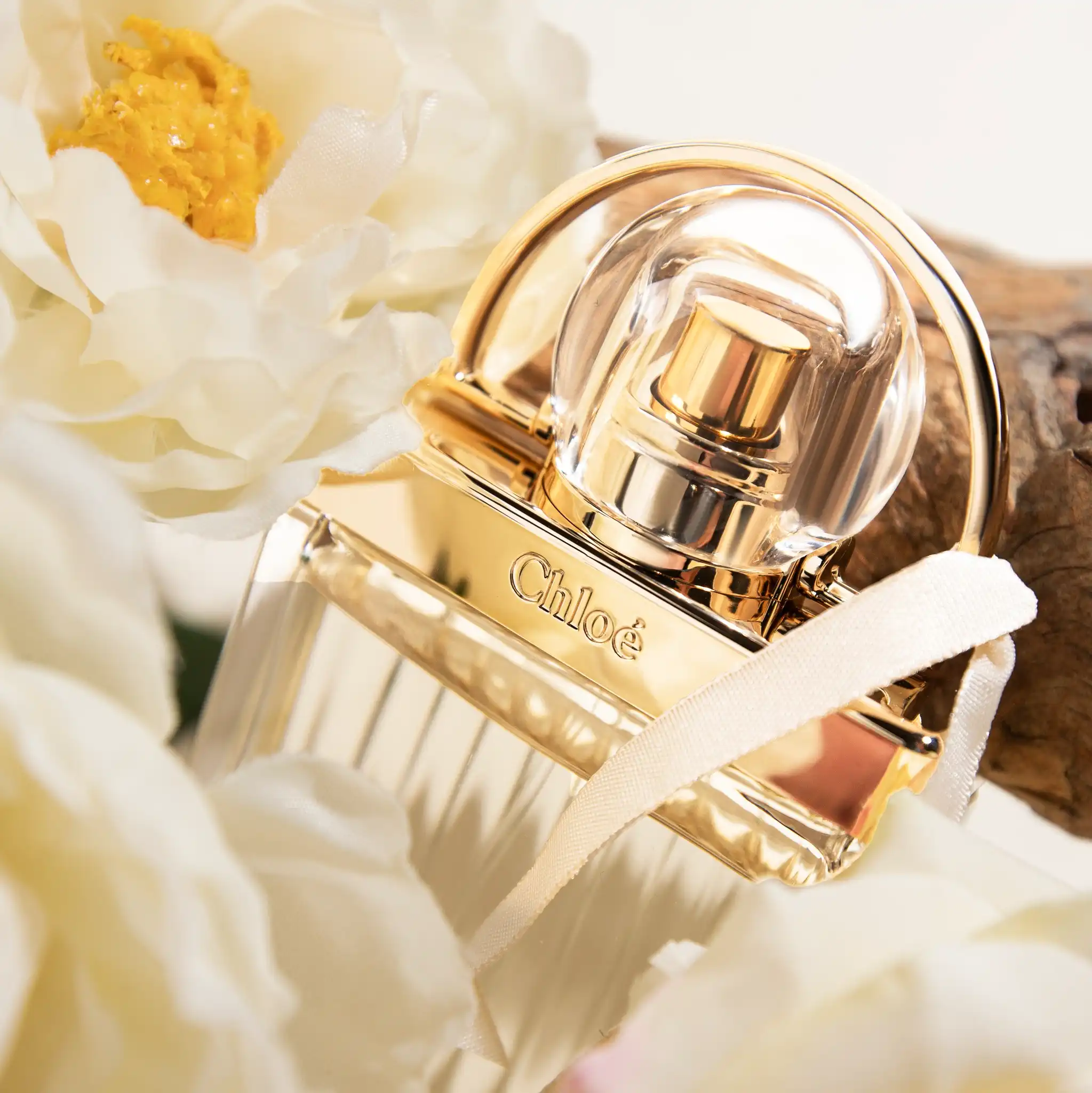 Hình 5 - Chloe Love Story EDP 50ml