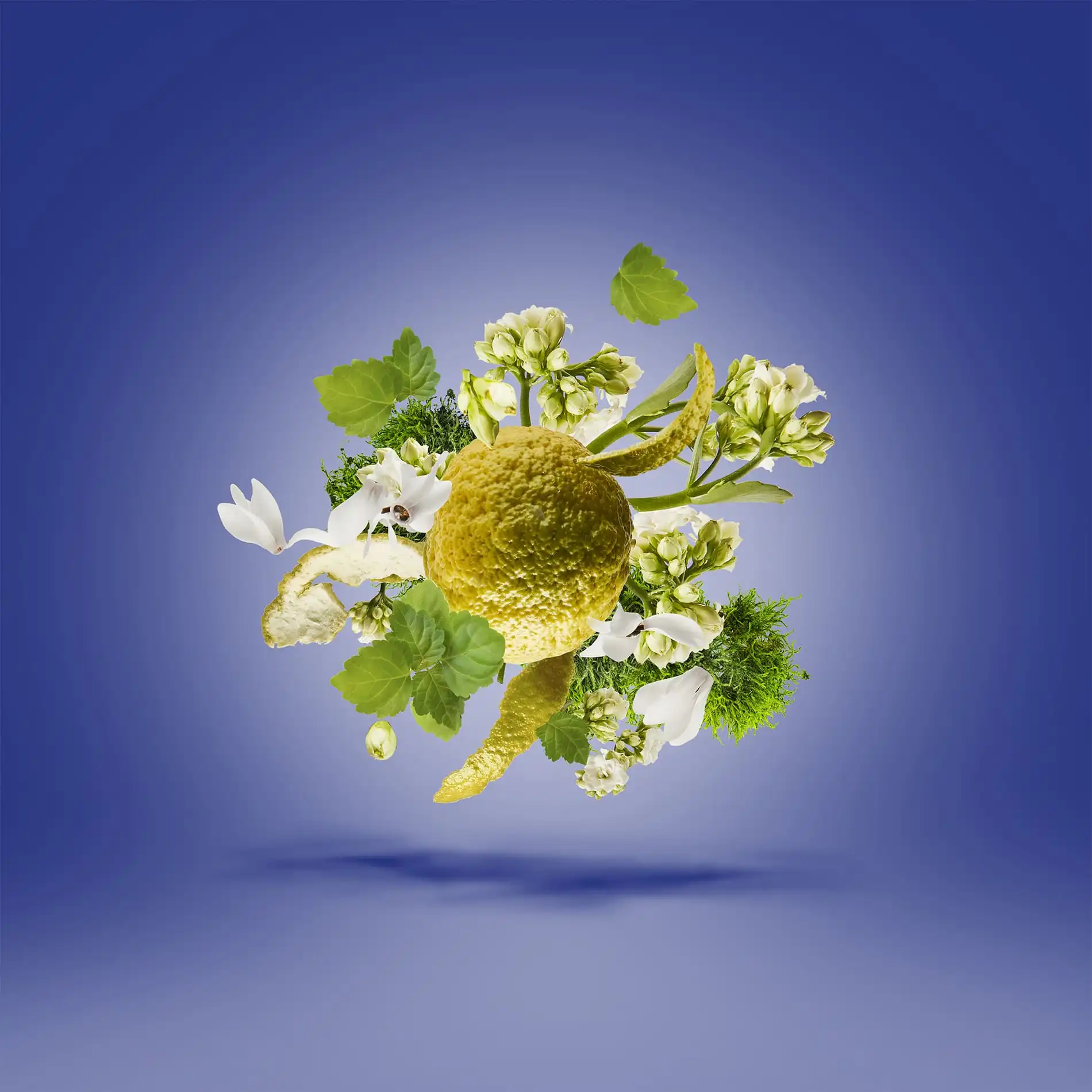 Hình 2 - Xerjoff Torino 23 (2023) EDP 50ml