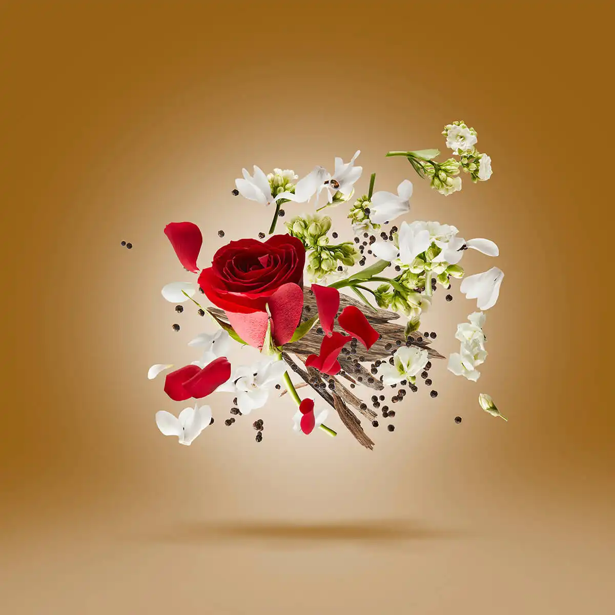 Hình 2 - Xerjoff Zafar Parfum 50ml