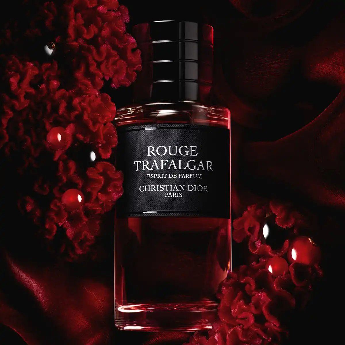 Hình 2 - Dior Rouge Trafalgar (2024) Extrait de Parfum 80ml
