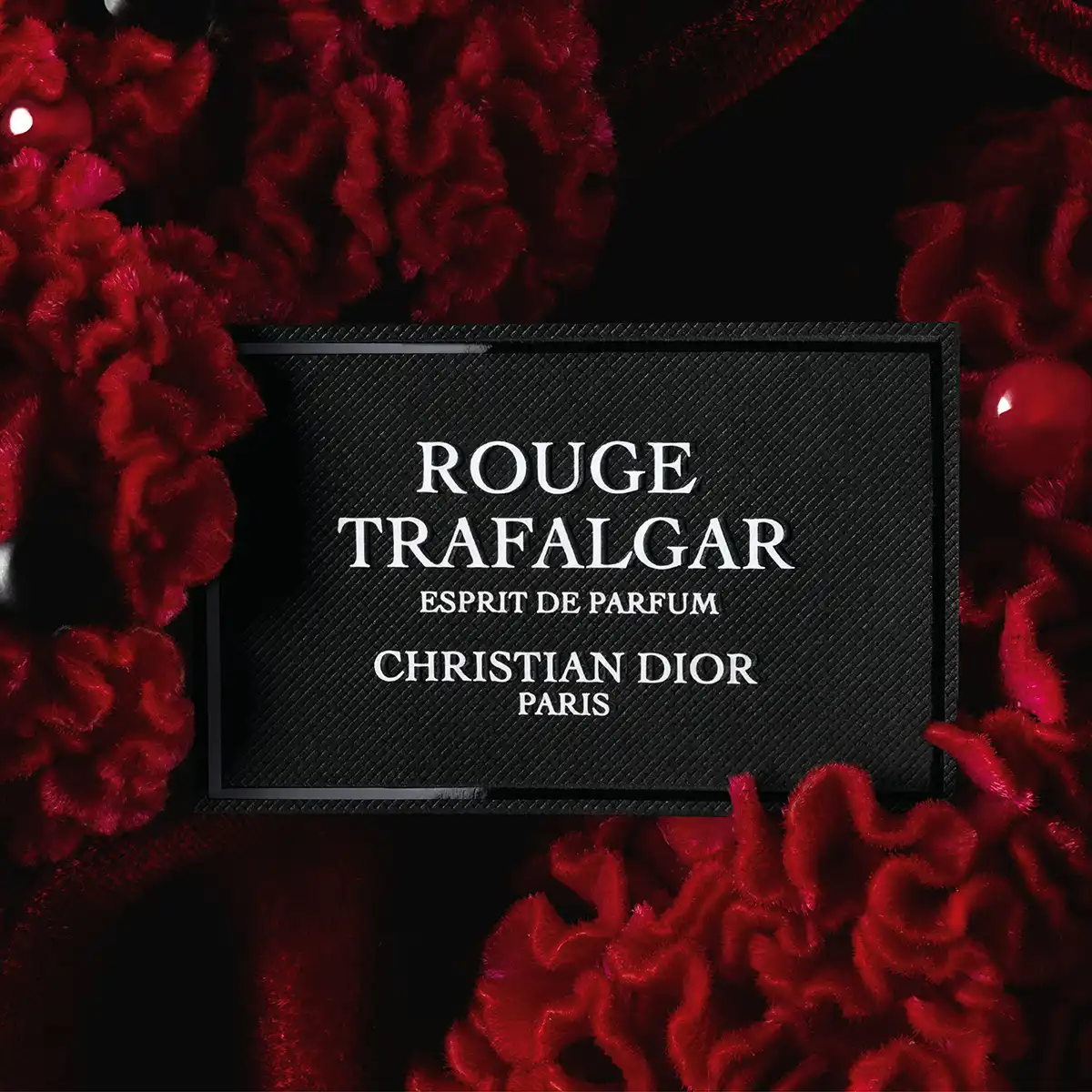 Hình 3 - Dior Rouge Trafalgar (2024) Extrait de Parfum 80ml