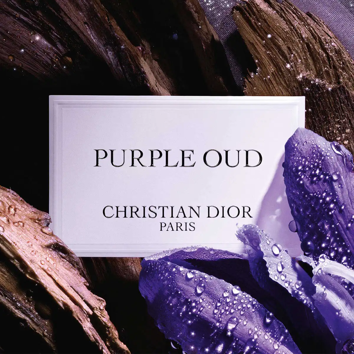 Hình 3 - Dior Purple Oud EDP 125ml