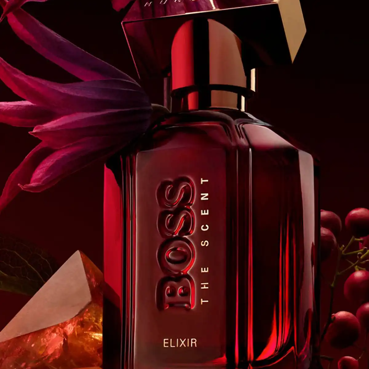 Hình 5 - Hugo Boss The Scent Elixir For Her (2024) EDP 50ml