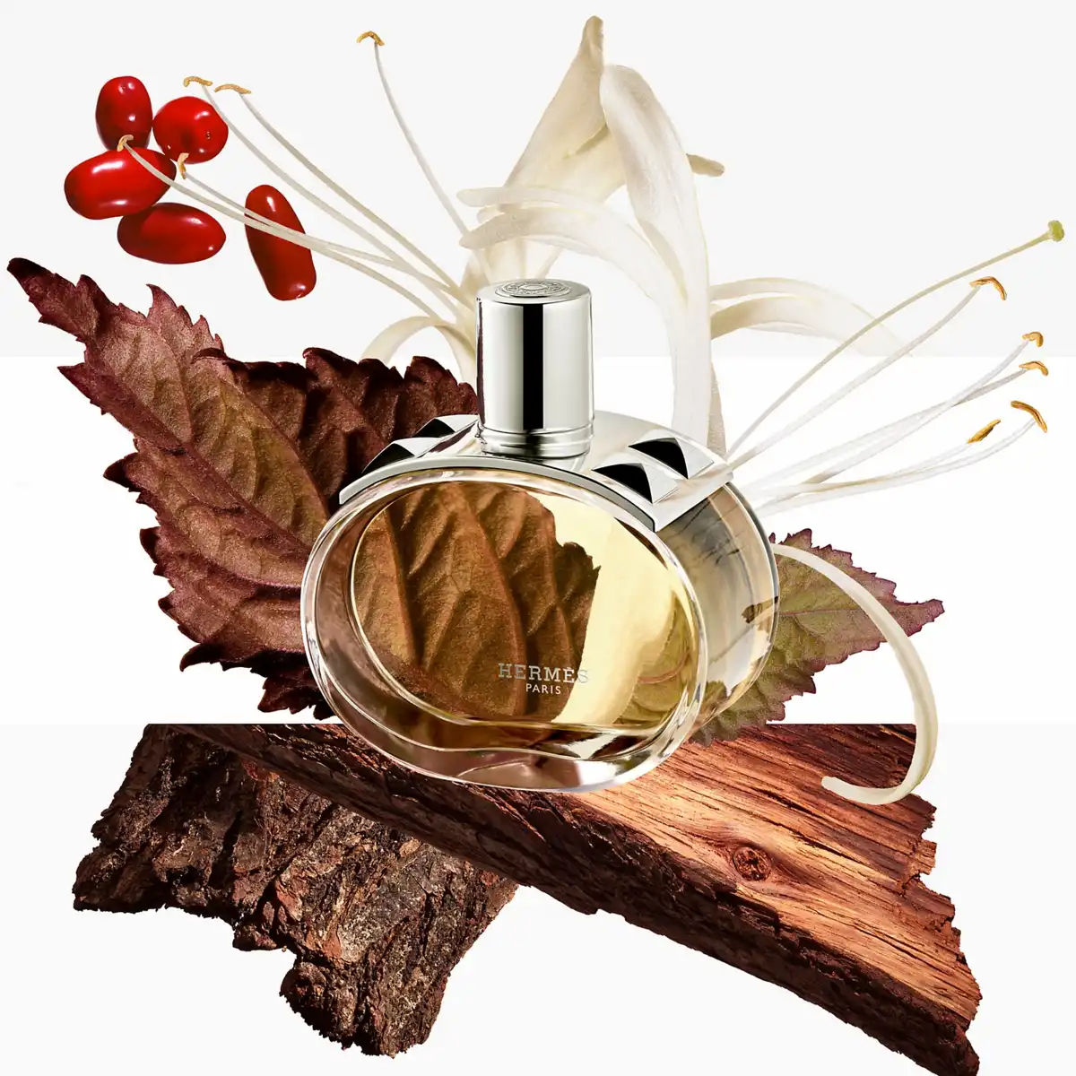 Hình 3 - Hermes Barénia (2024) EDP 60ml
