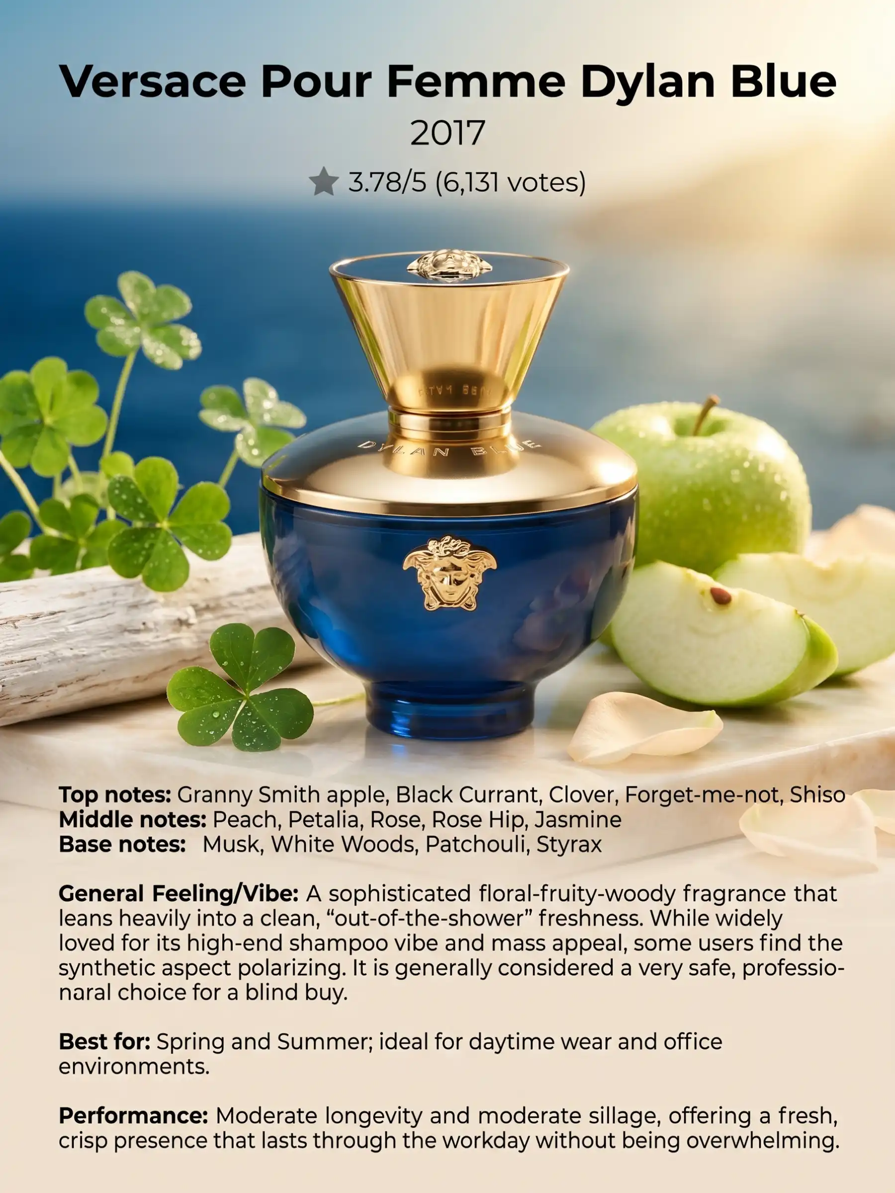 Hình 6 - Versace Pour Femme Dylan Blue EDP 100ml