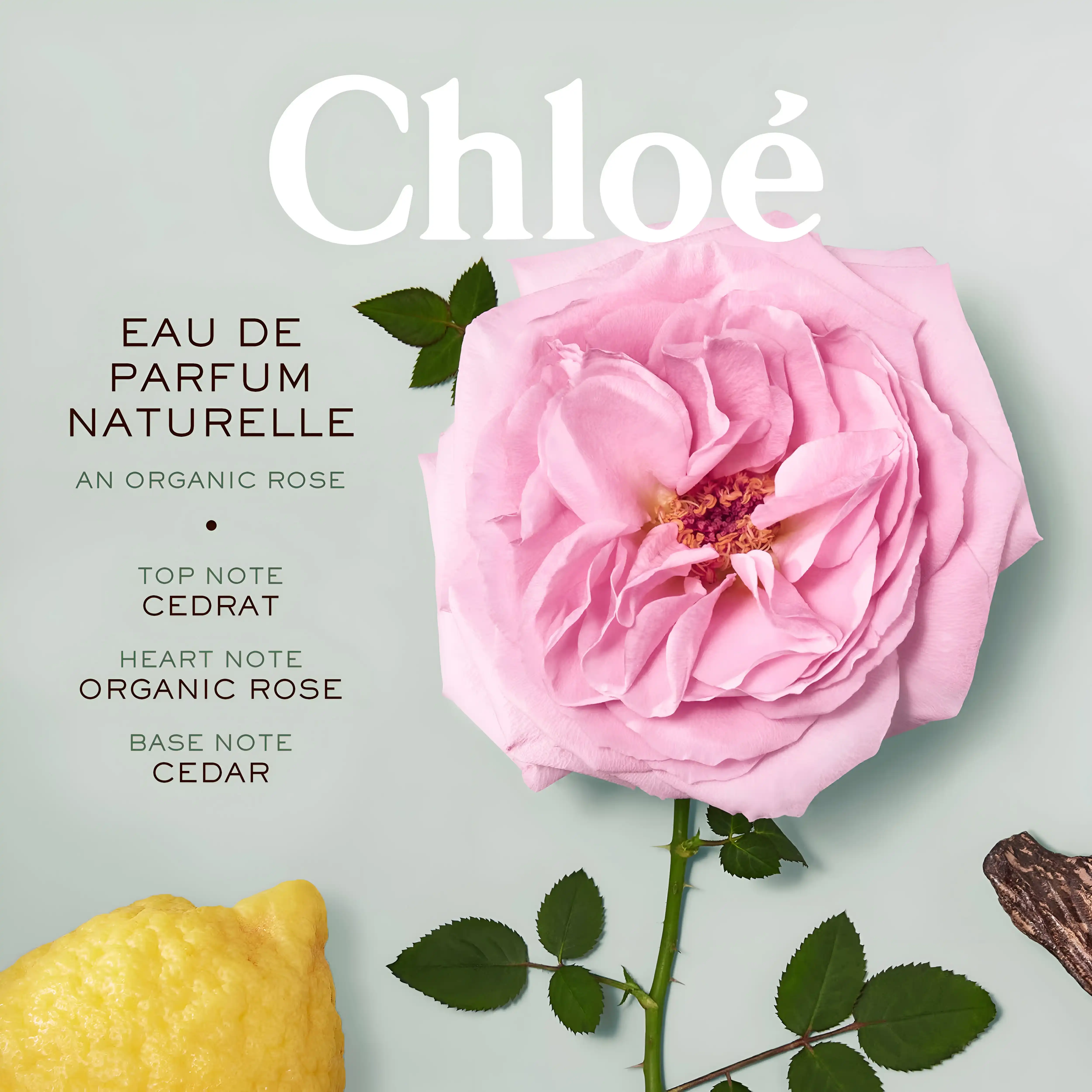 Hình 3 - Chloe Naturelle EDP 100ml