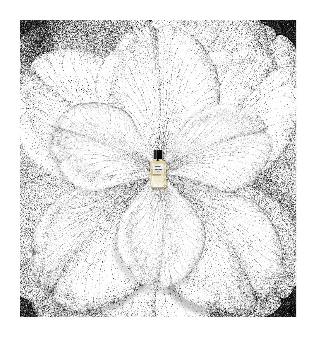 Hình 3 - Chanel Gardénia EDP 75ml