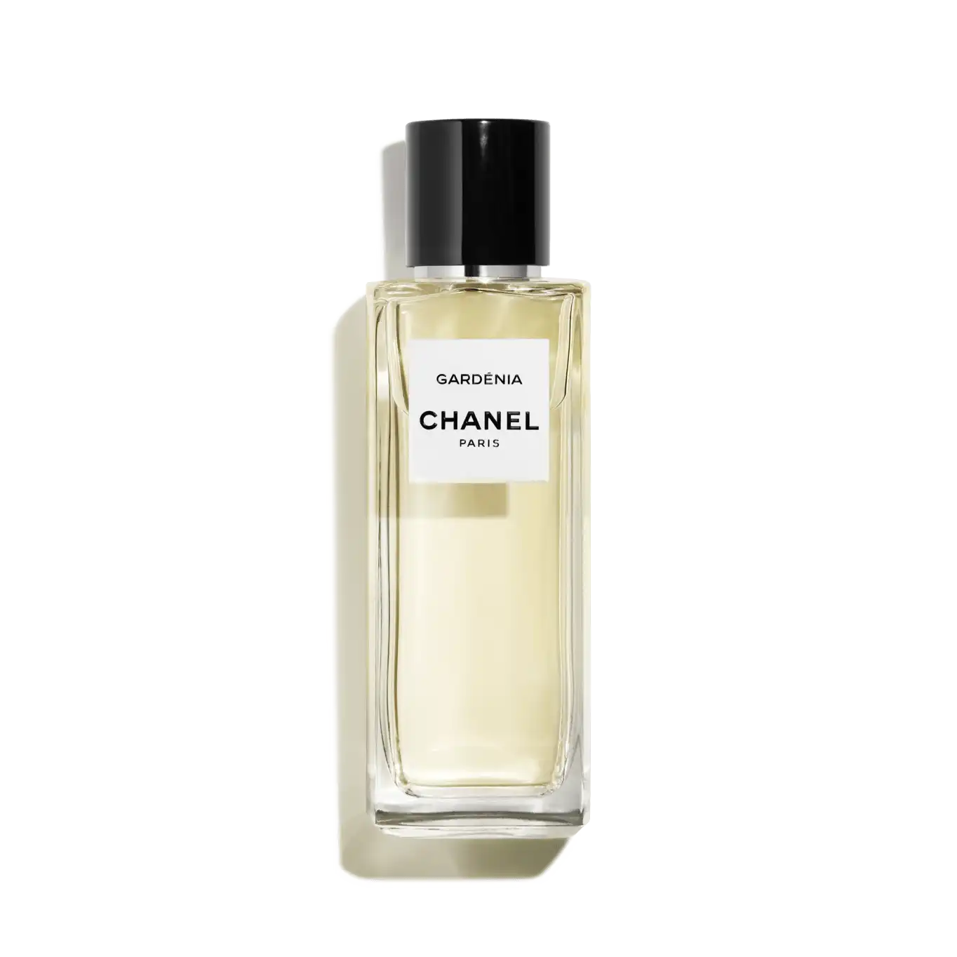 Hình 1 - Chanel Gardénia EDP 75ml