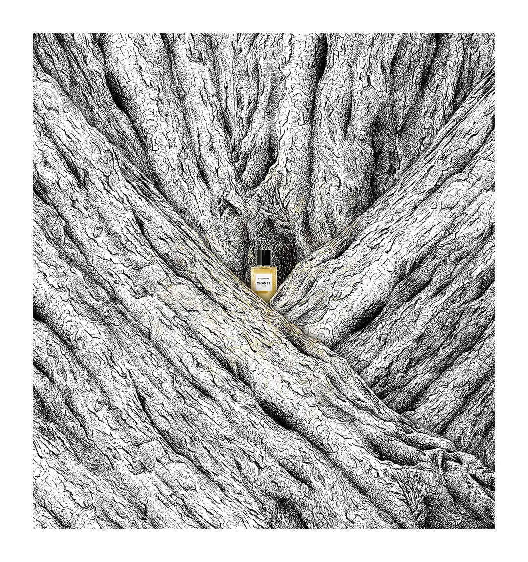 Hình 3 - Chanel Sycomore EDP 75ml