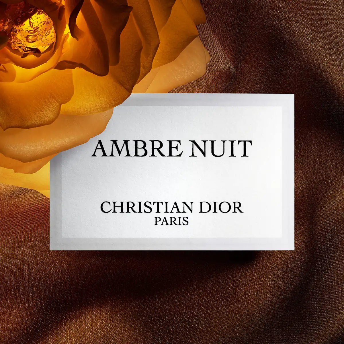 Hình 3 - Dior Ambre Nuit EDP 125ml
