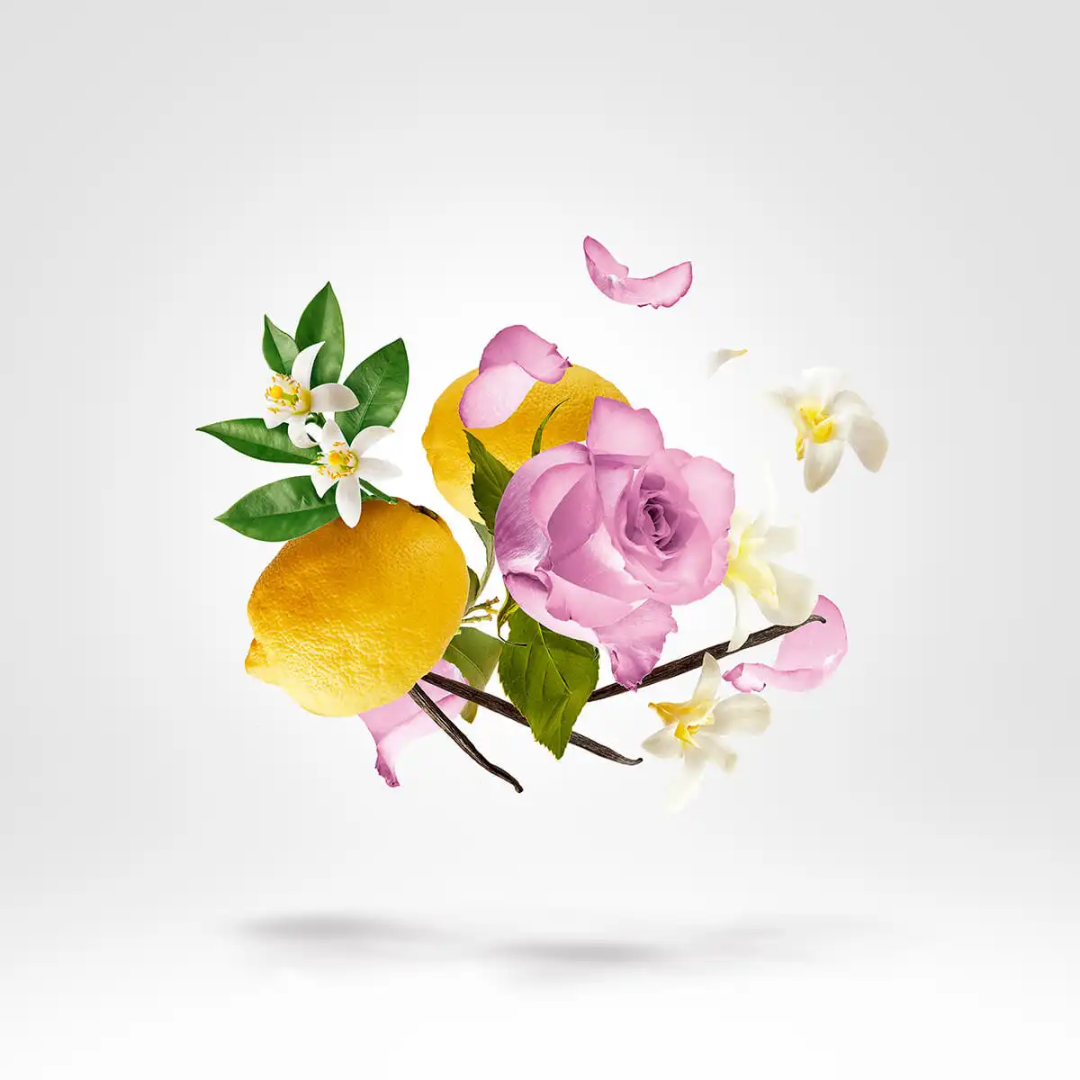 Hình 3 - Xerjoff Ibitira Parfum 50ml