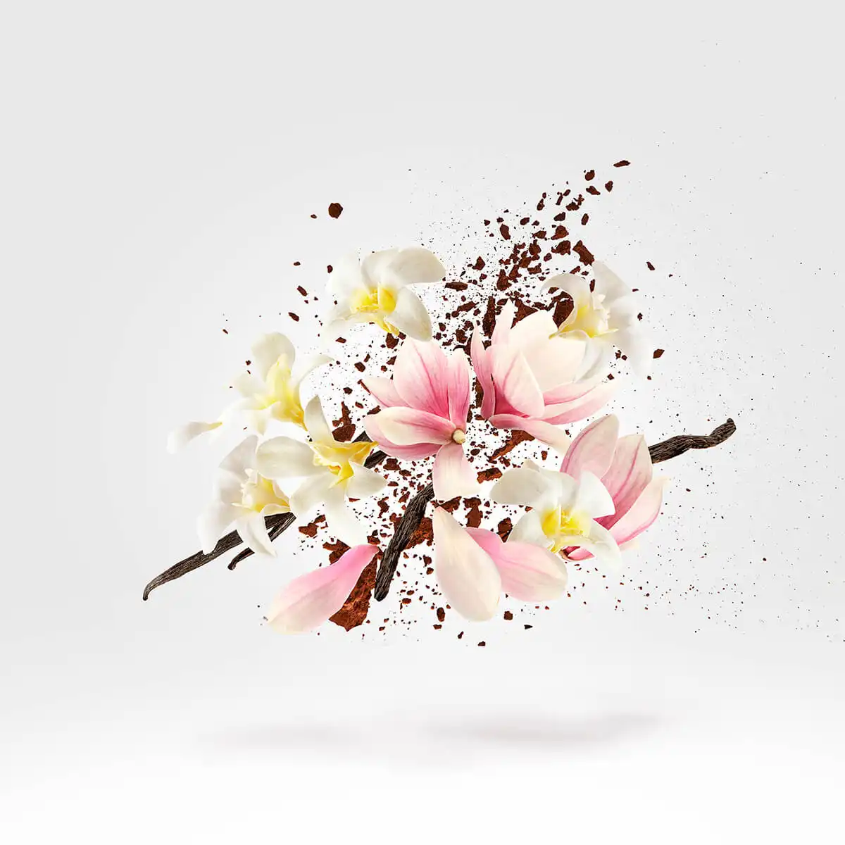 Hình 3 - Xerjoff Allende Parfum 50ml