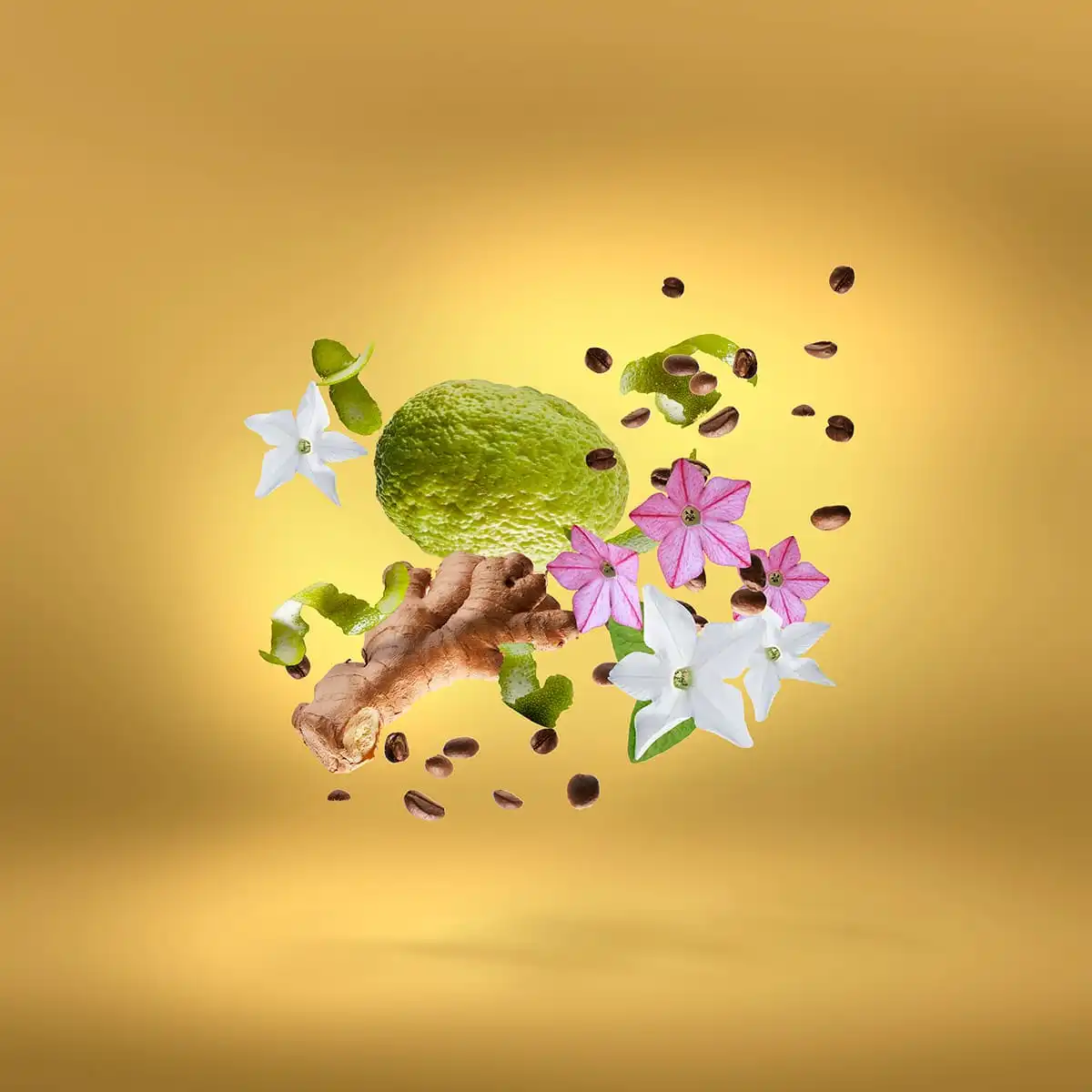 Hình 2 - Xerjoff Uden Overdose Parfum 50ml