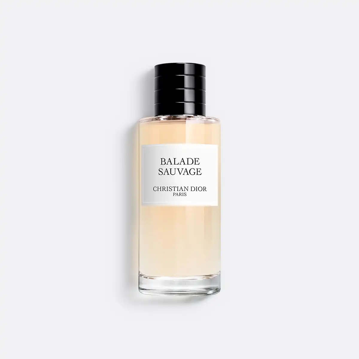 Dior Balade Sauvage EDP
