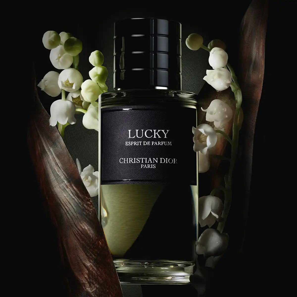 Hình 2 - Dior Lucky (2024) Extrait de Parfum 80ml