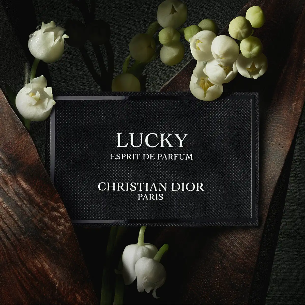 Hình 3 - Dior Lucky (2024) Extrait de Parfum 80ml