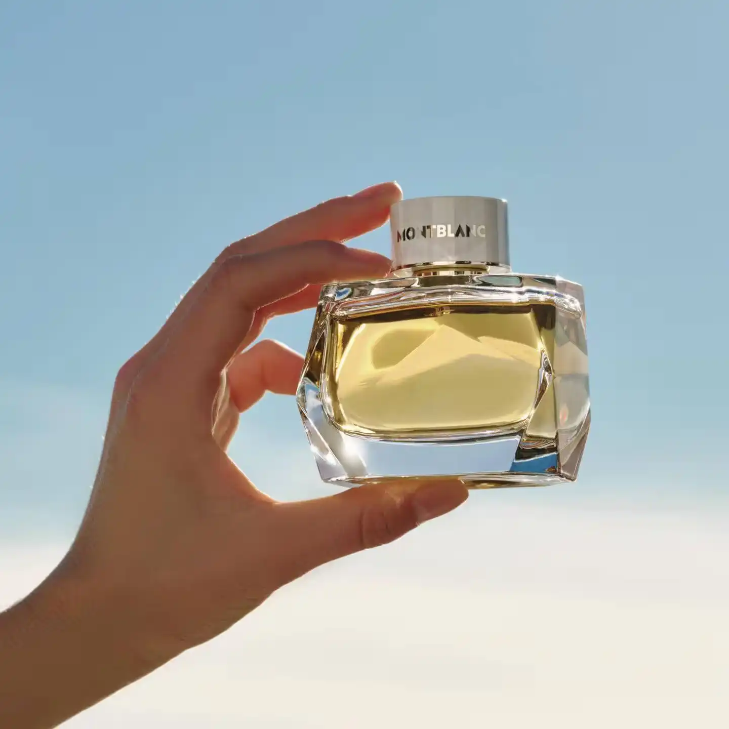 Hình 3 - Montblanc Signature Absolue EDP 90ml