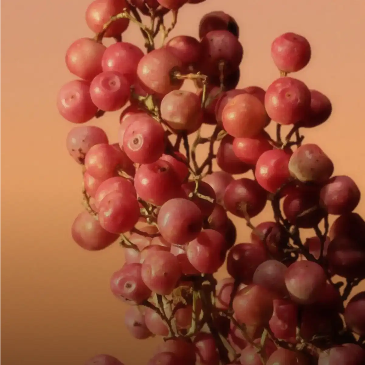 Hình 4 - Calvin Klein Eternity For Women (2022) EDP Intense 100ml