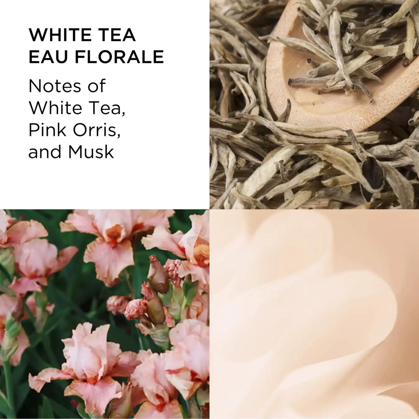 Hình 3 - Elizabeth Arden White Tea Eau Florale (2024) EDT 100ml