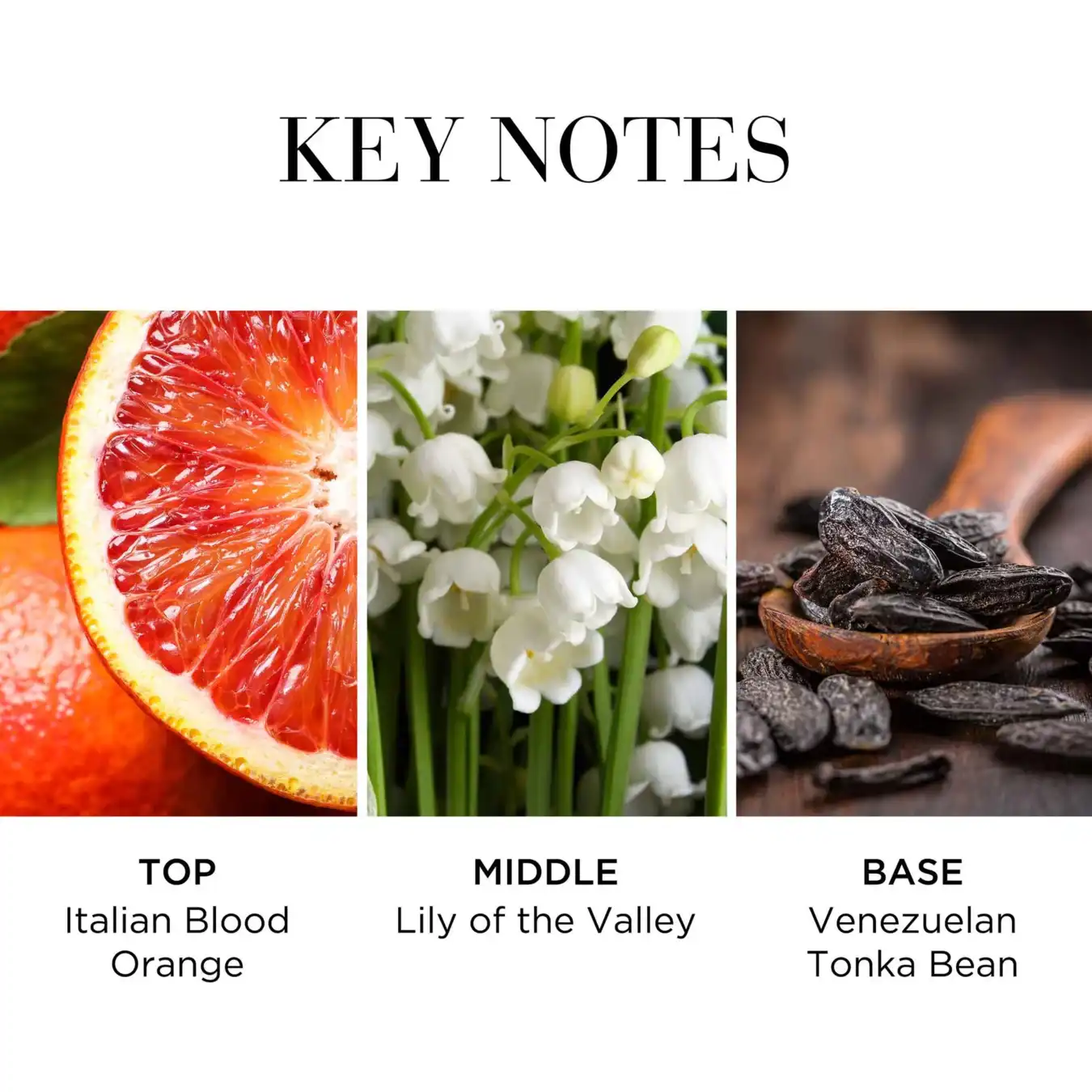 Hình 7 - Elizabeth Arden White Tea Eau Fraiche (2023) EDT 100ml