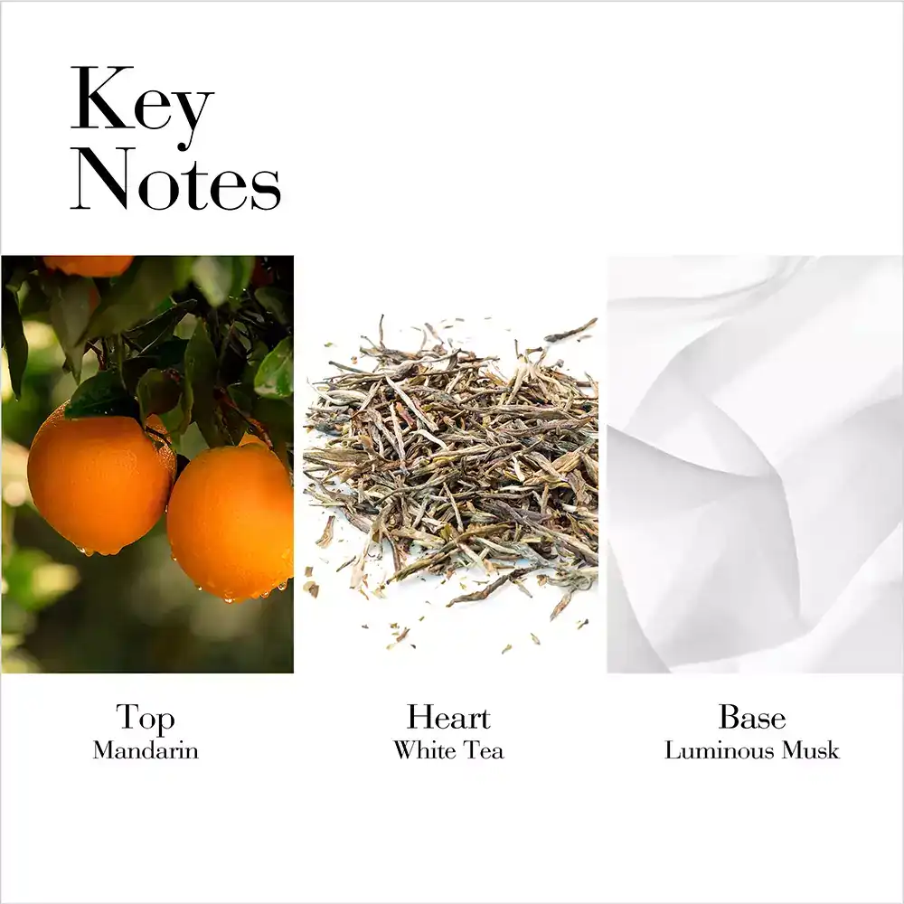 Hình 3 - Elizabeth Arden White Tea Mandarin Blossom EDT 100ml