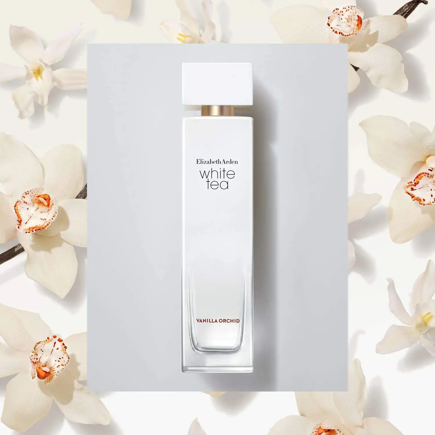 Hình 6 - Elizabeth Arden White Tea Vanilla Orchid EDT 100ml