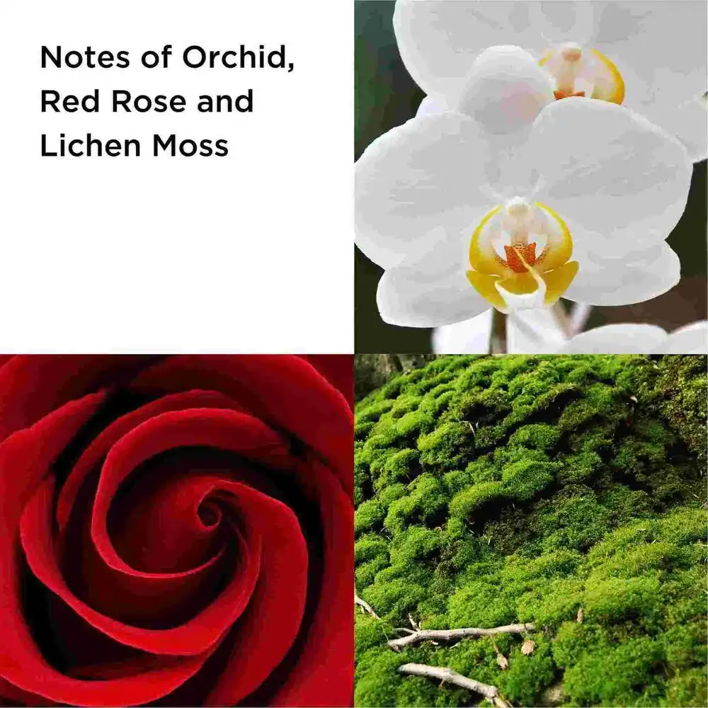 Hình 5 - Elizabeth Arden Red Door Revealed EDP 100ml