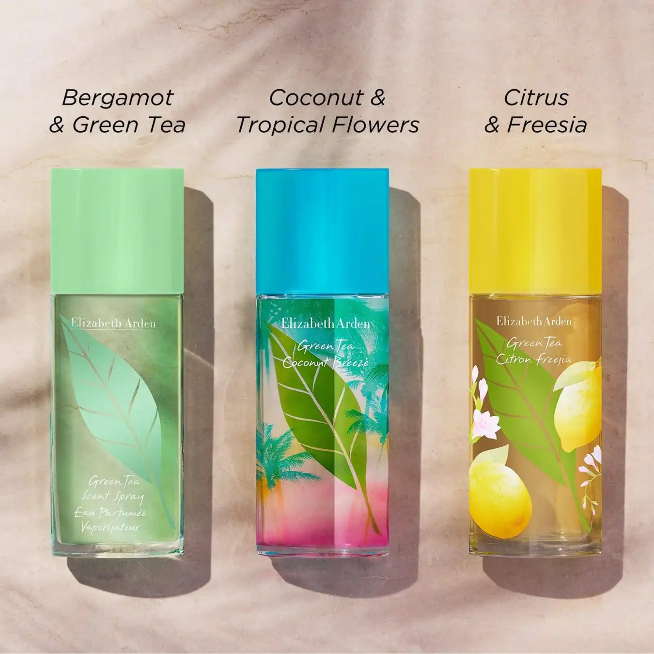Hình 6 - Elizabeth Arden Green Tea Coconut Breeze (2024) EDT 100ml